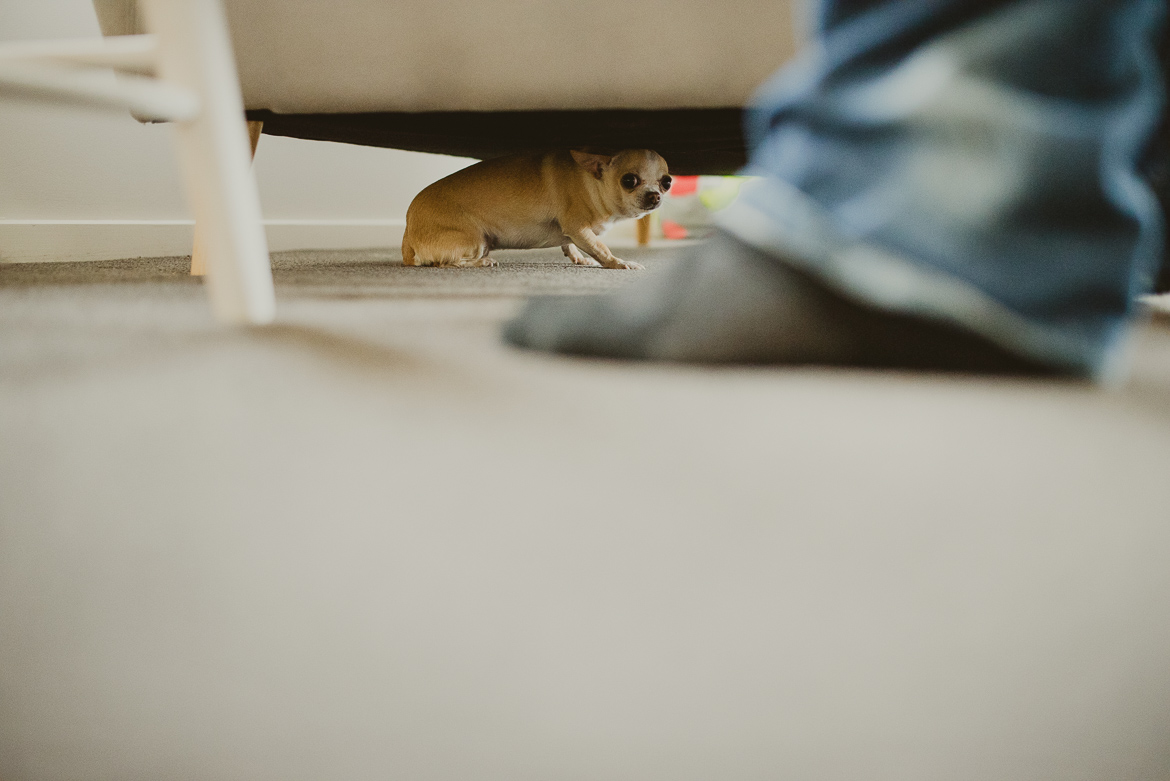 dallas-paul-valdes-photography-5435
